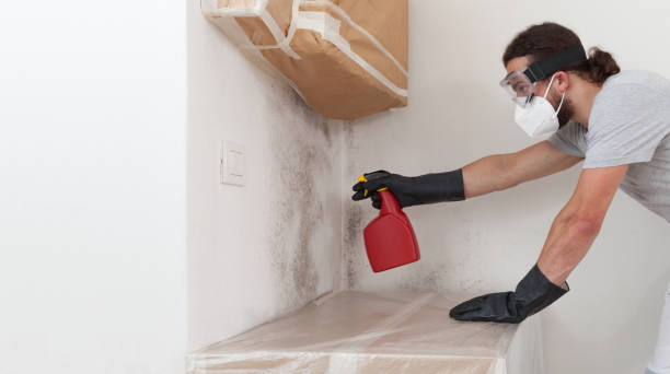 Professional Bathroom Mold Removal technician working in Midland Park, NJ
